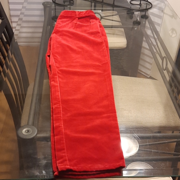 Velvet Red Pants - Picture 2 of 4
